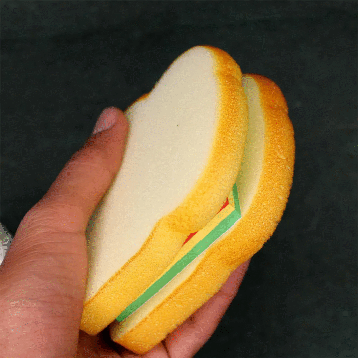 Sandwich Shaped Notepad / Sticky Notes