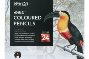 BRUSTRO Artists Colour Pencil Set of 24