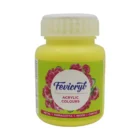 Pidilite Fevicryl Acrylic Colours 100ml