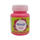 Pidilite Fevicryl Acrylic Colours 100ml