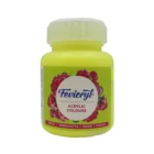 Pidilite Fevicryl Acrylic Colours 100ml
