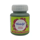 Pidilite Fevicryl Acrylic Colours 100ml
