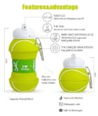 Collapsible Silicone Water Bottle 550ML