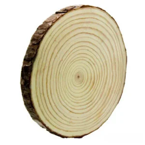 Wooden Slice Large size | Wooden disk for painting | Wooden plate for DIY