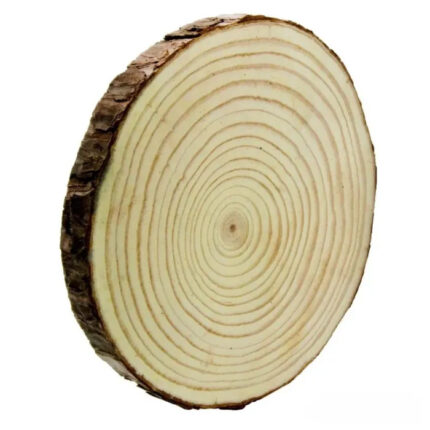 Wooden Slice Large size | Wooden disk for painting | Wooden plate for DIY