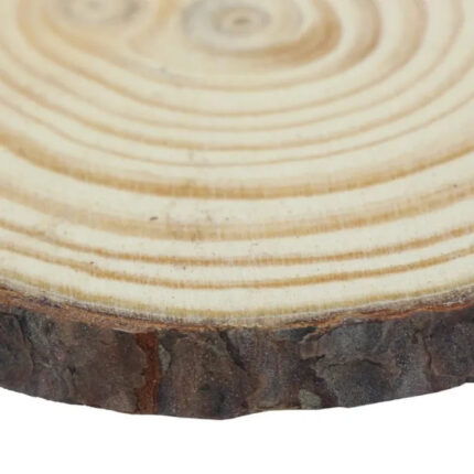 Wooden Slice Large size | Wooden disk for painting | Wooden plate for DIY
