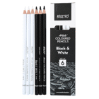 Brustro Coloured Pencils Black and White Set of 6