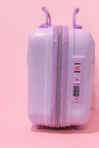 Bear style trending luggage bag or Vanity