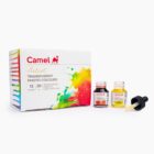 Camel Transparent Photo Colour Set of 12